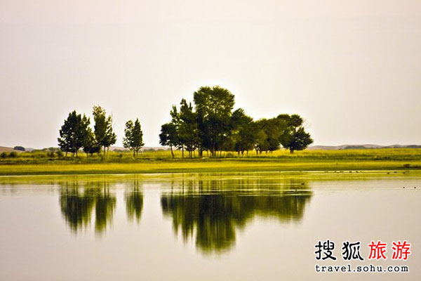 沙漠绿洲