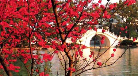 桃花江