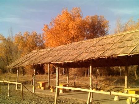 夏季出游指南:享受自驾魅力 自驾线路攻略