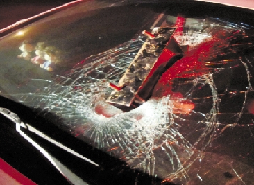 上图:杭金衢高速上,大客车侧窗被异物击碎;下图:杭新景高速上,插在轿车挡风玻璃上的槽型铁片。 郑亮 龚望平 姜豪 摄